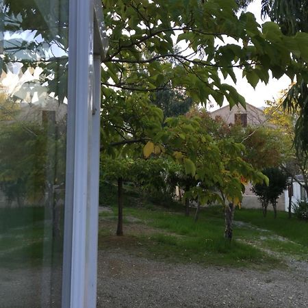 Camping Les Orangers San-Martino-di-Lota 客房 照片