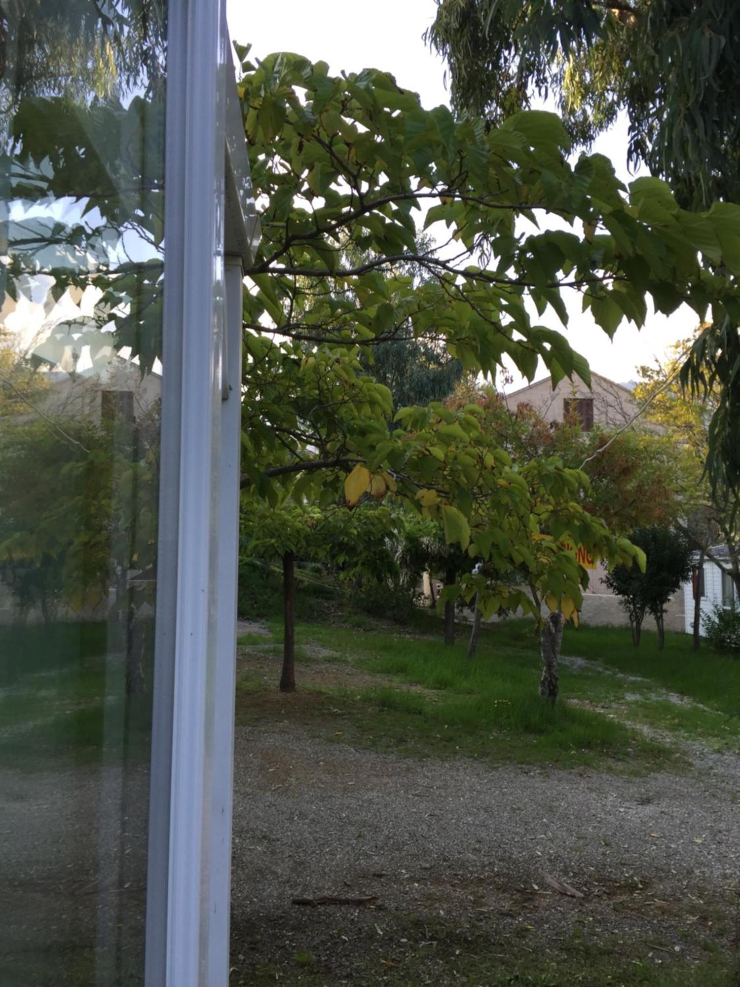 Camping Les Orangers San-Martino-di-Lota 客房 照片