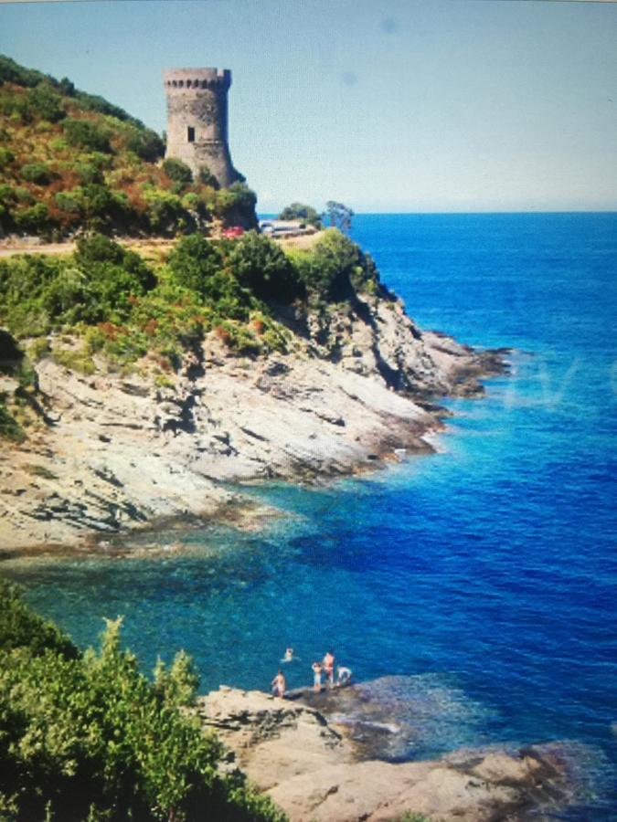 Camping Les Orangers San-Martino-di-Lota 外观 照片